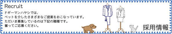 採用情報