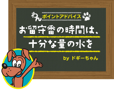 お留守番の時間は、十分な量の水を
