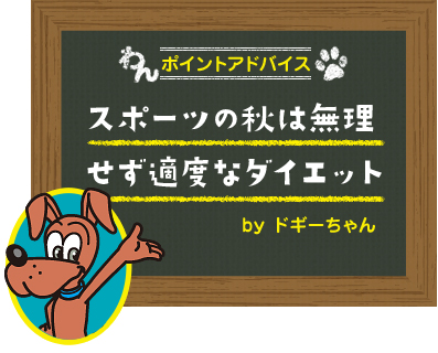 スポーツの秋は無理せず適度なダイエット