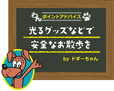 光るグッズなどで安全なお散歩を