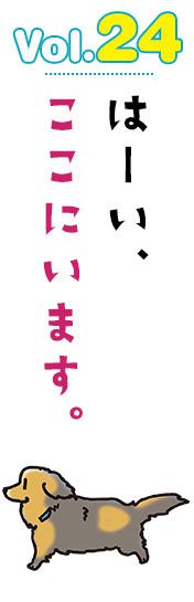 はーい、ここにいます。