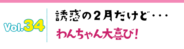 誘惑の2月だけど…