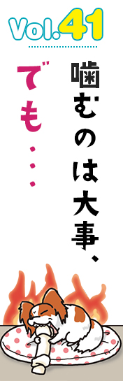 噛むのは大事、でも…