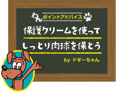 保護クリームを使ってしっとり肉球を保とう