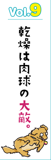 乾燥は肉球の大敵。