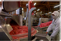 巨大冷蔵庫