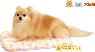 犬猫用