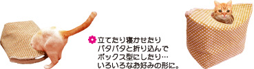立てたり寝かせたりバタバタと折り込んでボックス型にしたり・・・いろいろなお好みの形に。