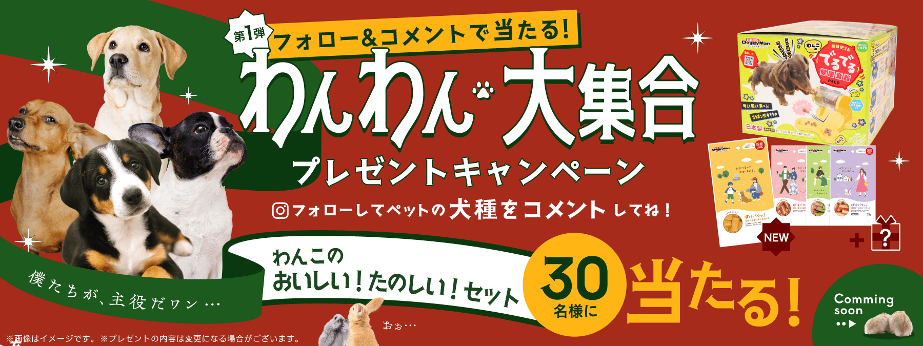 わんわん大集合プレゼントキャンペーン