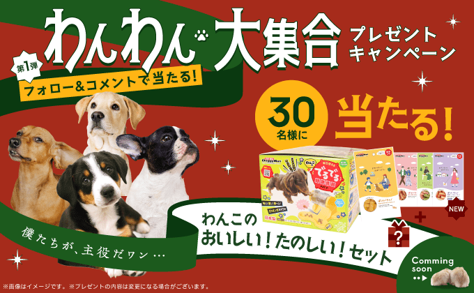 わんわん大集合プレゼントキャンペーン