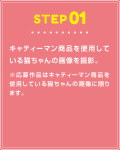 STEP01