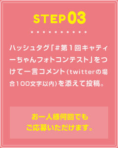 STEP03