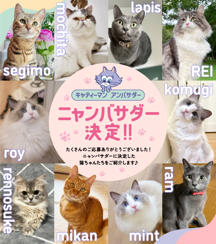 キャティーちゃんのおともだち募集 | ニャンコはみんな、おともだち 
