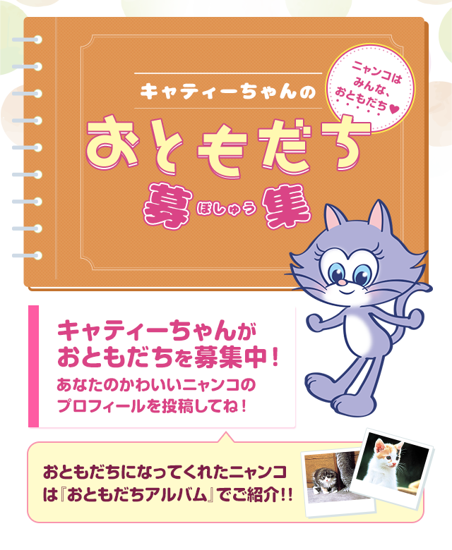 キャティーちゃんのおともだち募集 ニャンコはみんな おともだち Cattyman キャティーマン