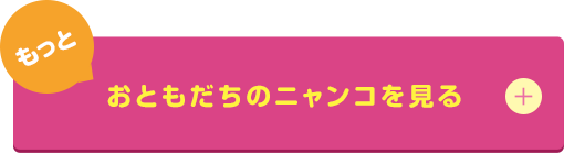 おともだちのニャンコを見る