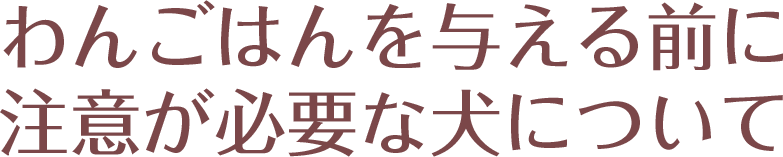 わんごはんを与える前に注意が必要な犬について