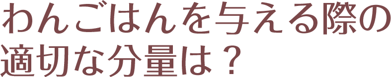 わんごはんを与える際の適切な分量は？