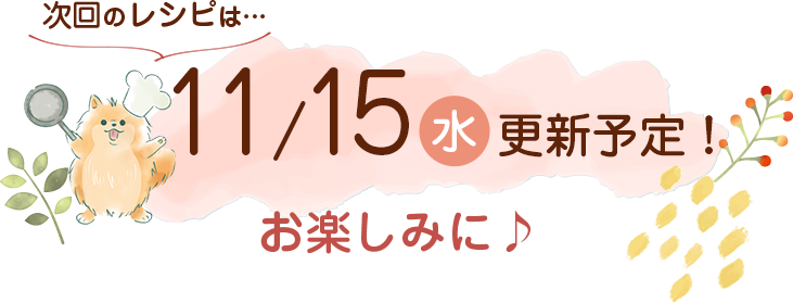 わんごはん次回の更新は11/15(水)です！お楽しみに♪