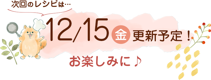 わんごはん次回の更新は2024年2/()です！お楽しみに♪