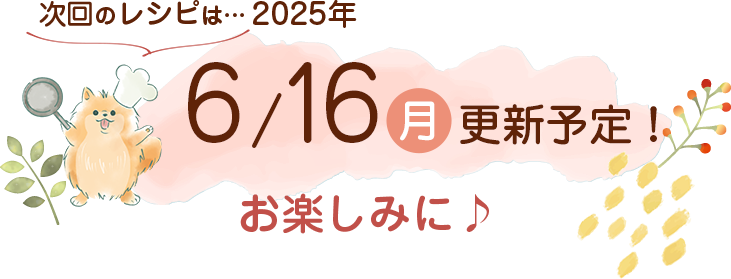 わんごはん次回の更新は2025年6/16(月)です！お楽しみに♪