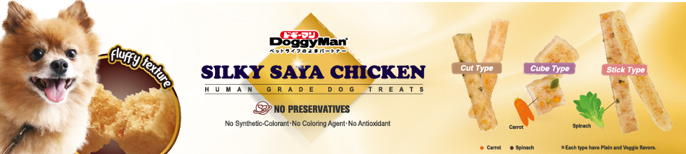 SILKY SAYA CHIKEN