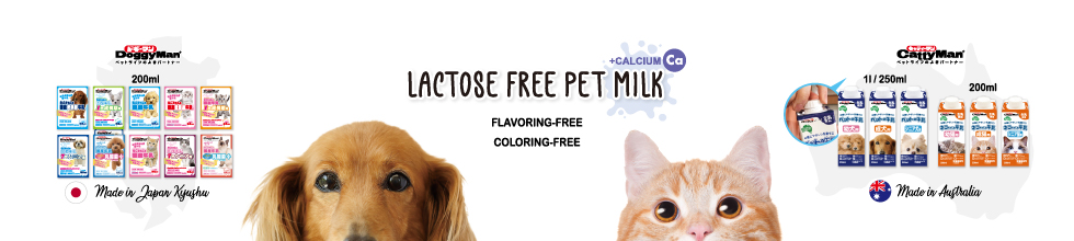 LACTOSE FREE PET MILK