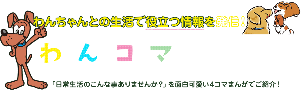七夕に願いを わんちゃんとの生活で役立つわんコマまんが ペットライフのよきパートナー Doggyman ドギーマン 七夕に願いを わんちゃんとの生活で役立つわんコマまんが ペットライフのよきパートナー Doggyman ドギーマン