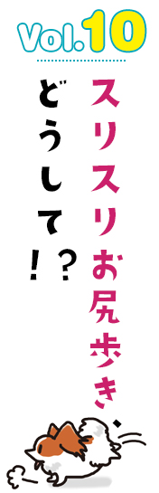 スリスリお尻歩き、どうして!?