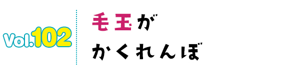 毛玉がかくれんぼ