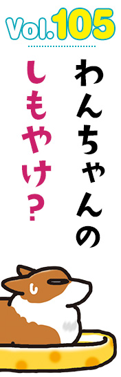 わんちゃんのしもやけ?
