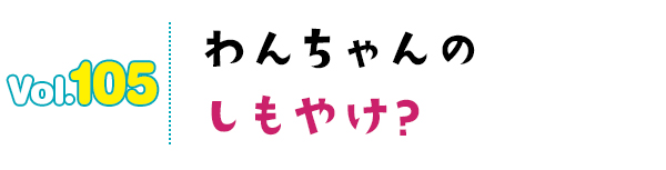 わんちゃんのしもやけ?