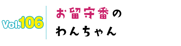 お留守番のわんちゃん