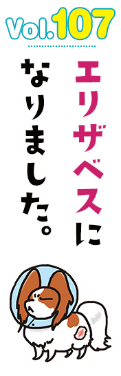 エリザベスになりました。