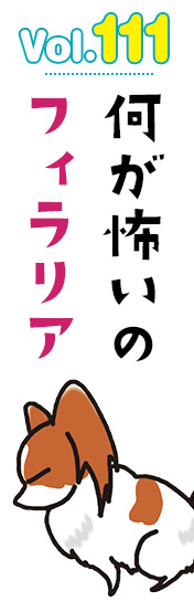 何が怖いのフィラリア
