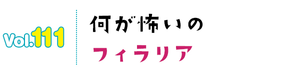 何が怖いのフィラリア