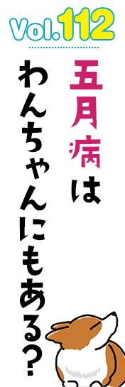 五月病はわんちゃんにもある?