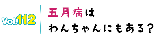 五月病はわんちゃんにもある?