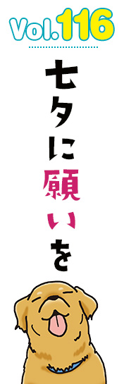 七夕に願いを