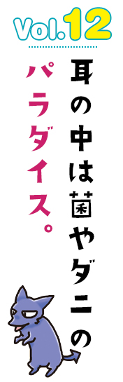 耳の中は菌やダニのパラダイス。