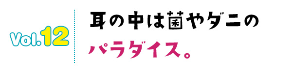 耳の中は菌やダニのパラダイス。