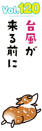 台風が来る前に