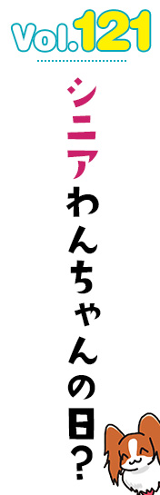 シニアわんちゃんの日?