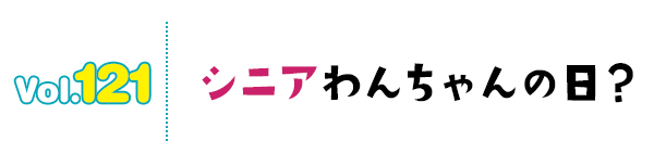 シニアわんちゃんの日?