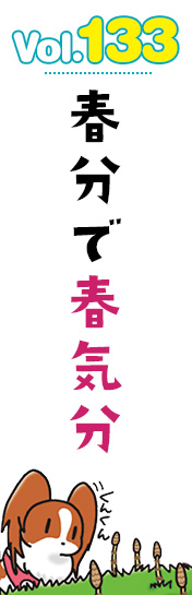 春分で春気分