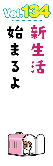 新生活始まるよ