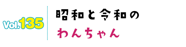 昭和と令和のわんちゃん