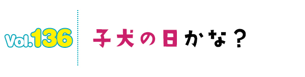 子犬の日かな?