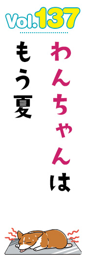 わんちゃんはもう夏