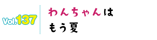 わんちゃんはもう夏