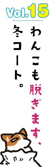 わんこも脱ぎます、冬コート。